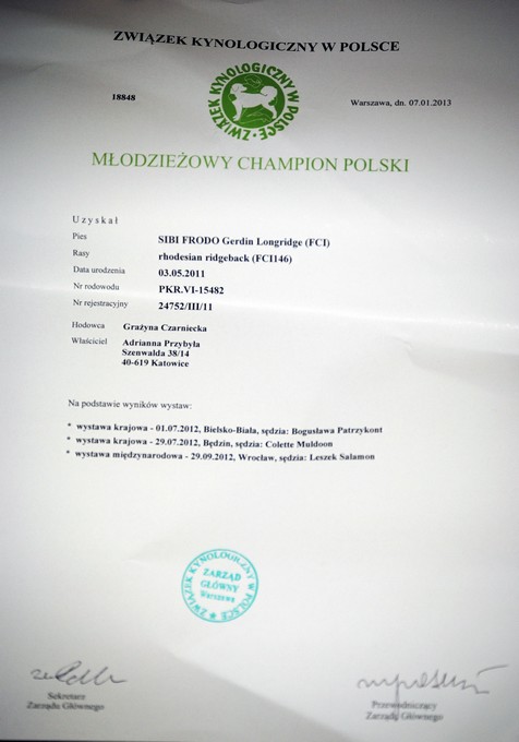 Mł.Champion Polski