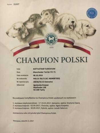 Champion Polski