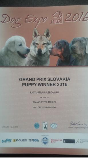 Grand Prix Slovakia Puppy Winner 2016
