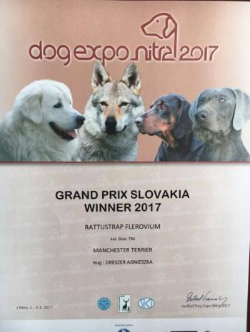 Grand Prix Slovakia Winner 2017