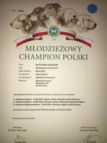 Mł. Champion Polski