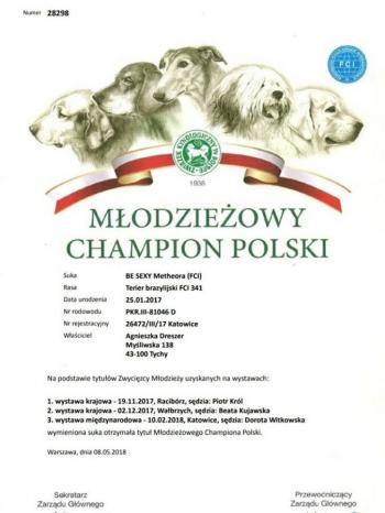 Junior Champion of Poland