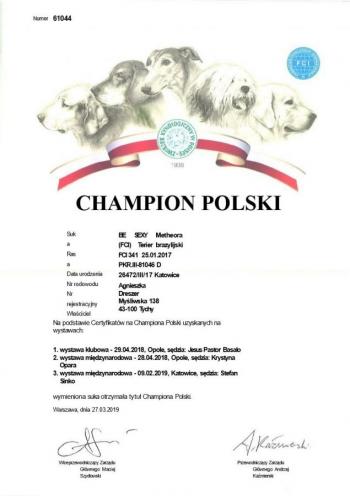 Champion of Poland